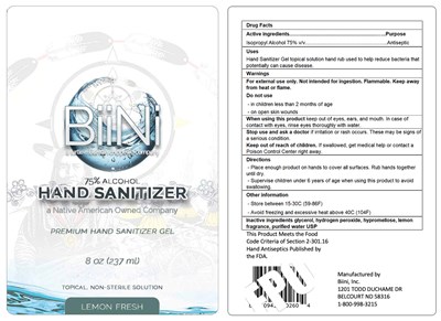 Active Ingredient Section (Biini Inc Hand Sanitizer Label)